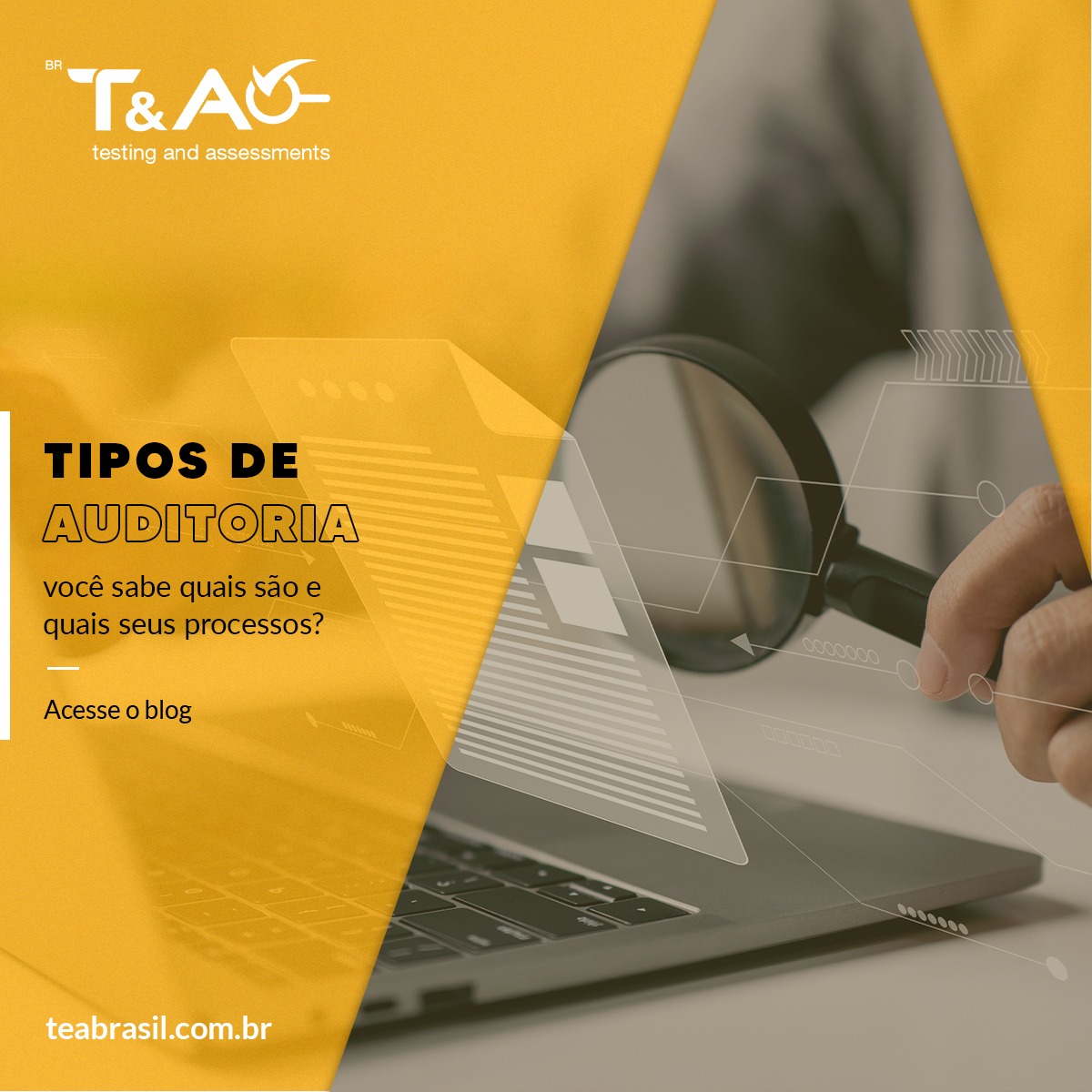 Confira Os Principais Tipos De Auditoria E Como Preparar Sua Empresa Hot Sex Picture 2832